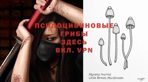 таблы Беломорск