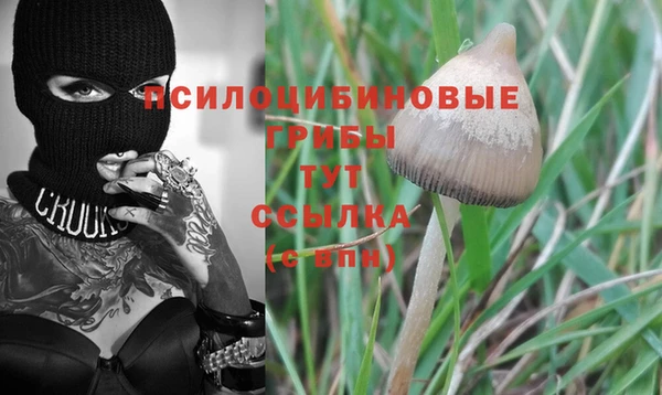 эйфоретик Белоозёрский
