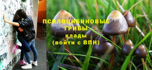 эйфоретик Белоозёрский